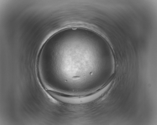 X0000067831533200604171114