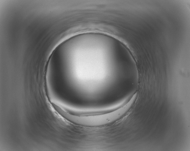 X0000067831534200604171114