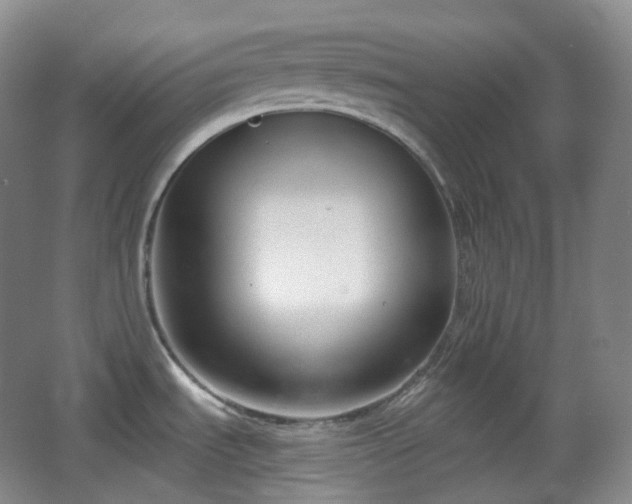 X0000067831535200604171114