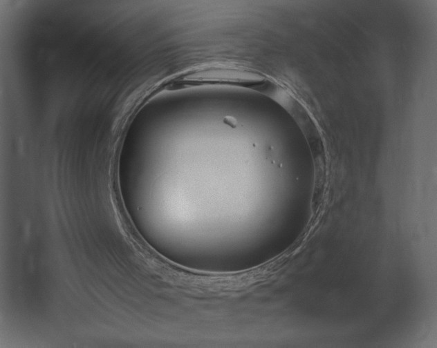 X0000067830001200604201227