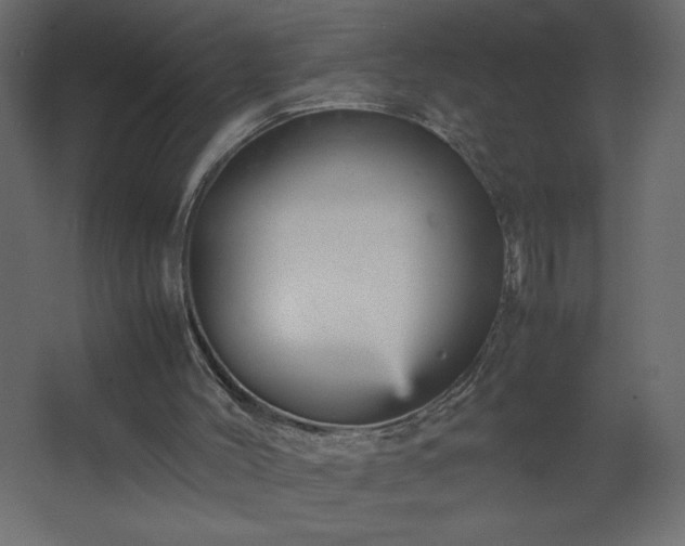 X0000067830004200604201227