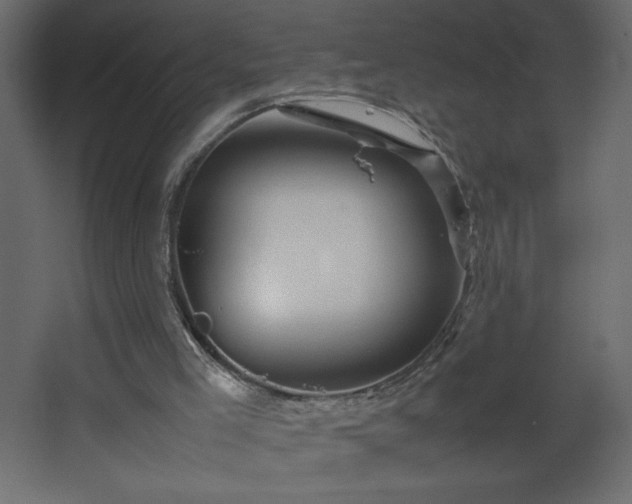 X0000067830005200604201227