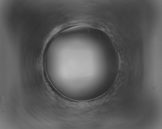 X0000067830006200604201227