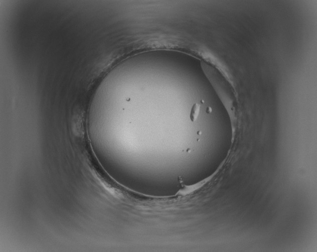 X0000067830009200604201227