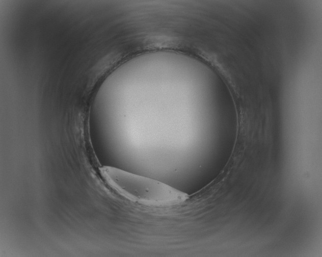 X0000067830010200604201227