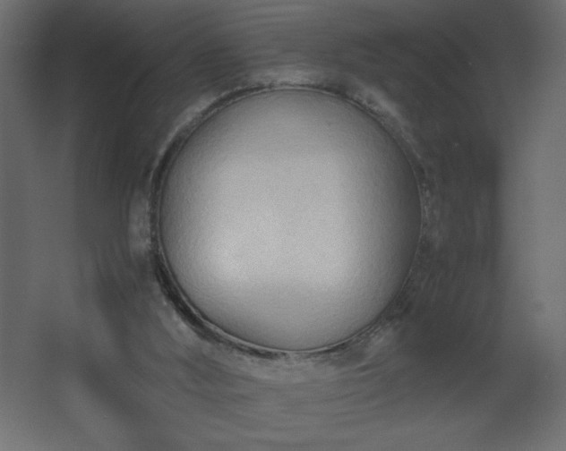 X0000067830012200604201227