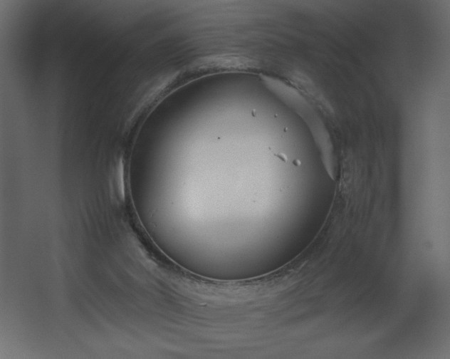 X0000067830014200604201227