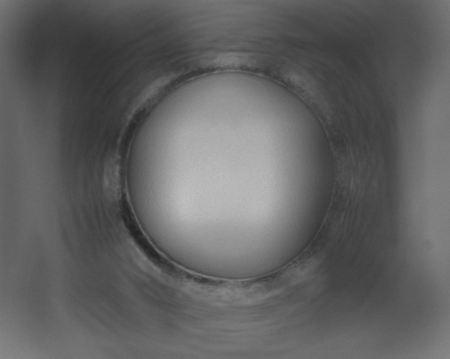 X0000067830016200604201227