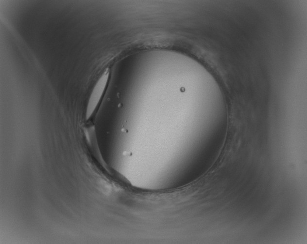 X0000067830017200604201227