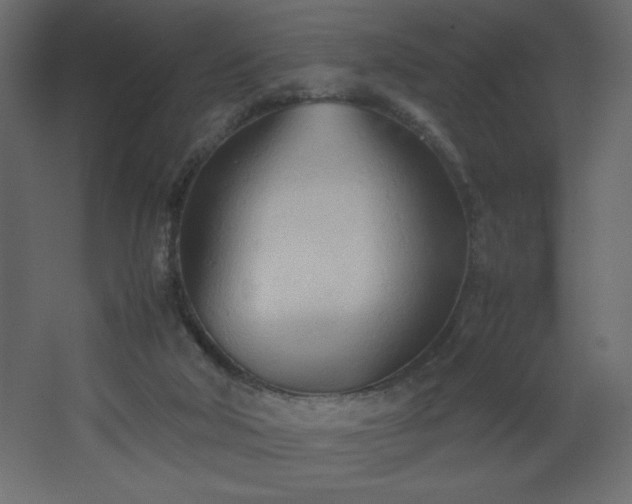 X0000067830018200604201227