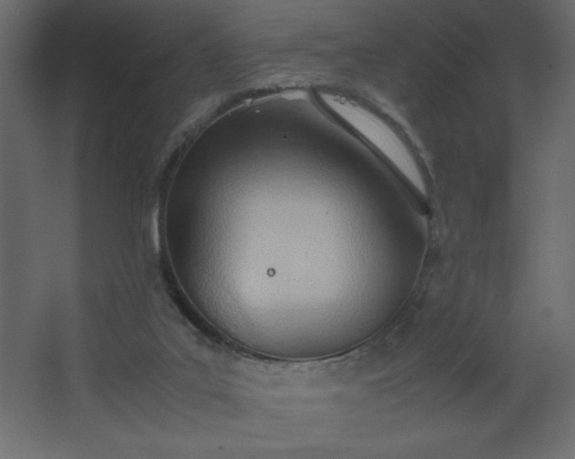 X0000067830019200604201227