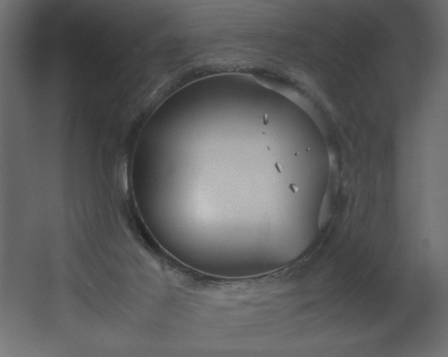 X0000067830021200604201227