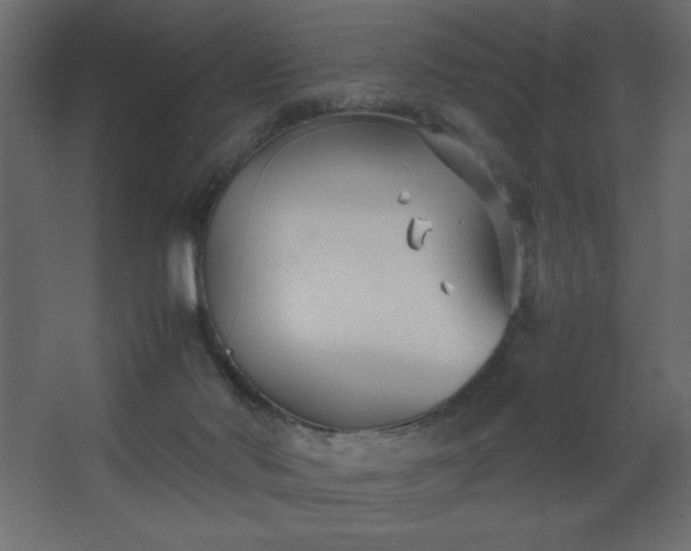 X0000067830022200604201227