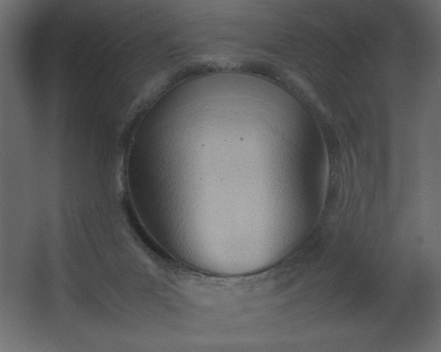 X0000067830023200604201227