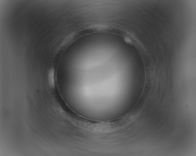 X0000067830024200604201227