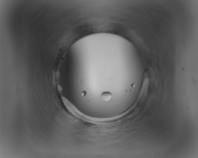 X0000067830025200604201227