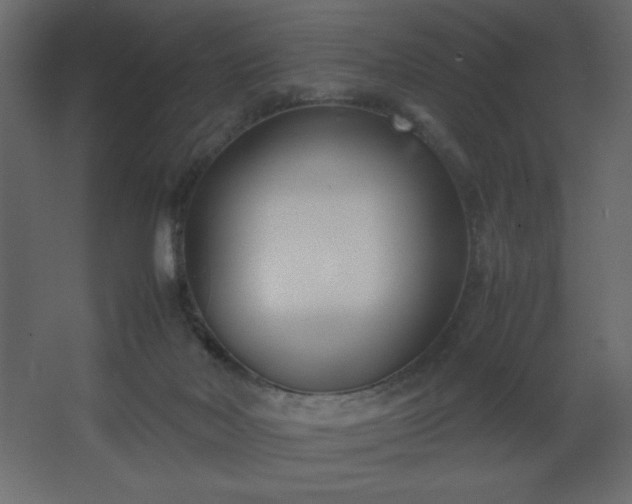 X0000067830026200604201227