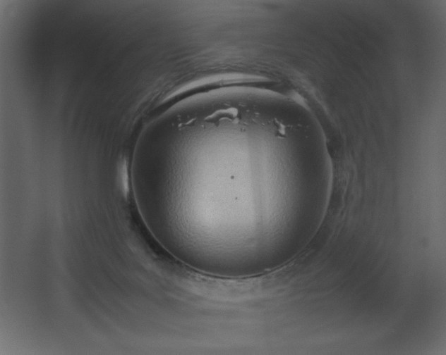 X0000067830027200604201227