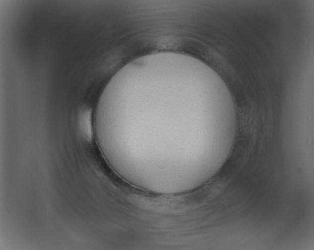 X0000067830028200604201227