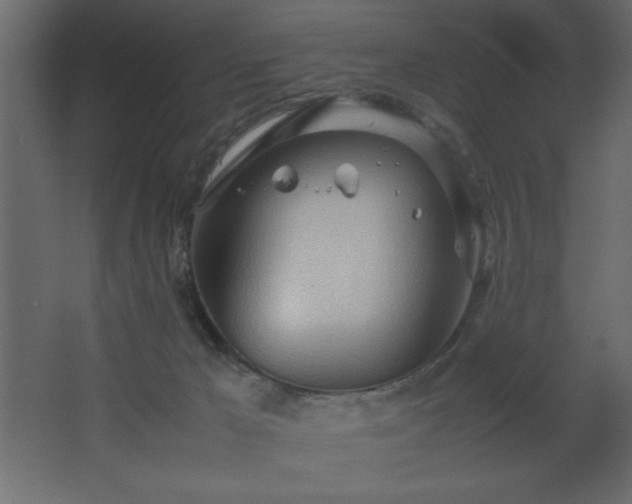 X0000067830029200604201227