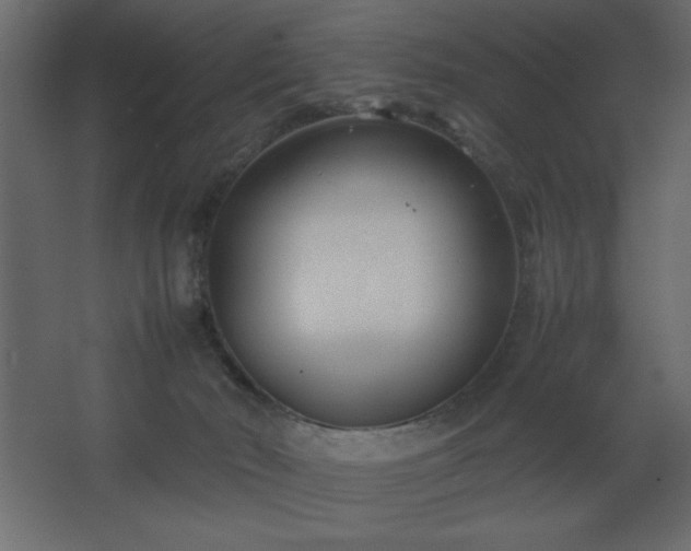 X0000067830030200604201227