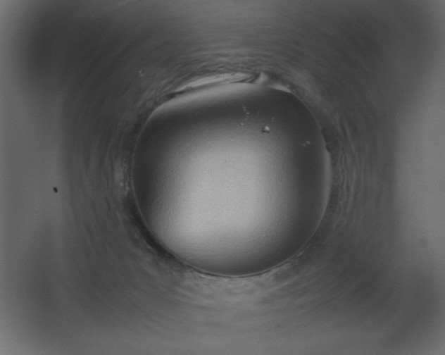 X0000067830031200604201227