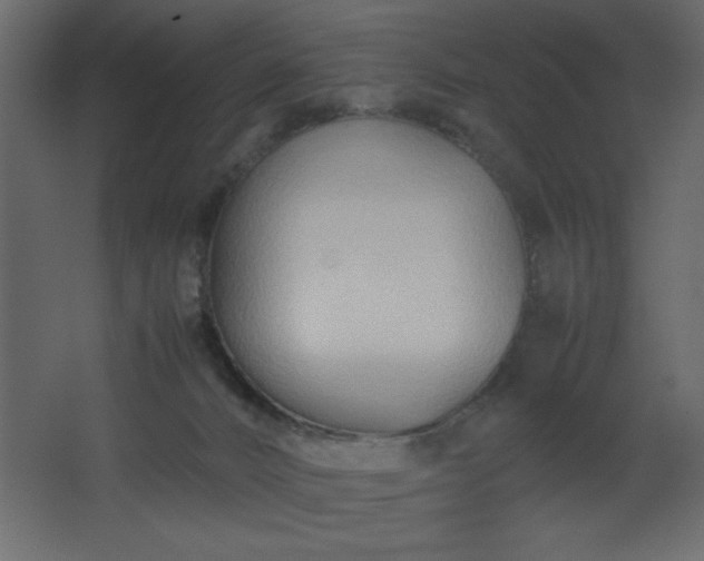 X0000067830032200604201227