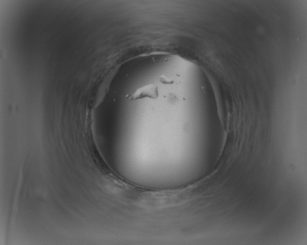 X0000067830033200604201227