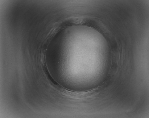 X0000067830035200604201227