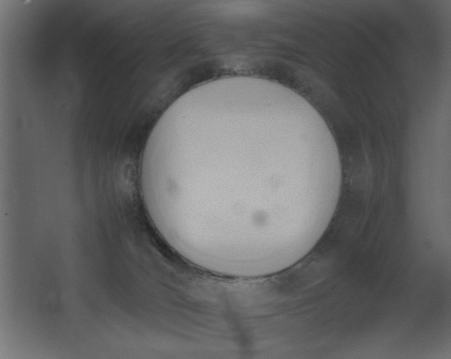 X0000067830036200604201227