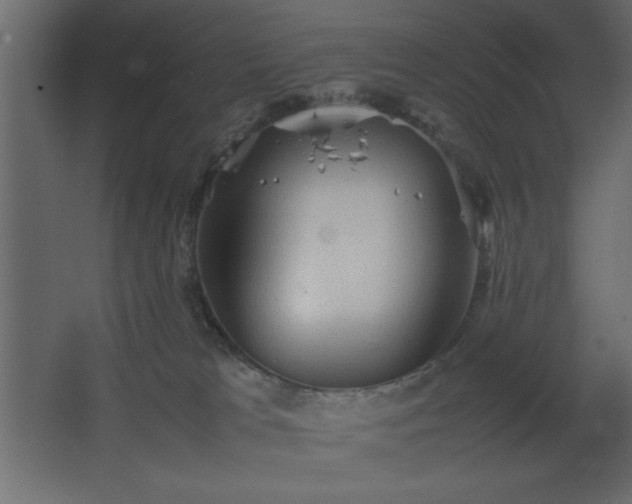 X0000067830037200604201227