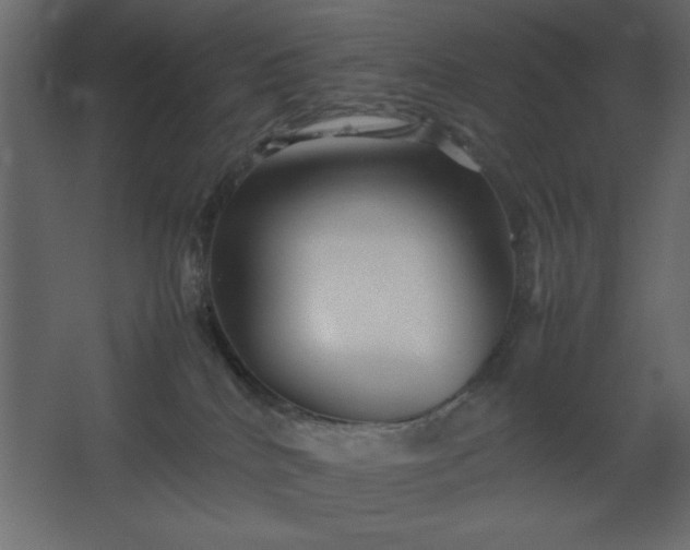 X0000067830040200604201227