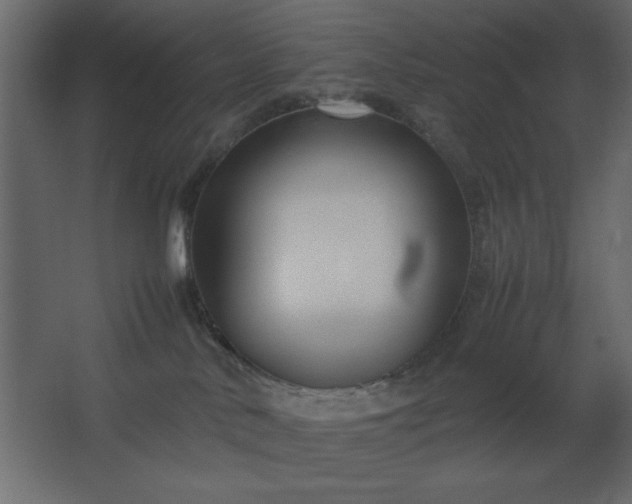 X0000067830042200604201227