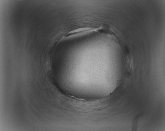 X0000067830043200604201227