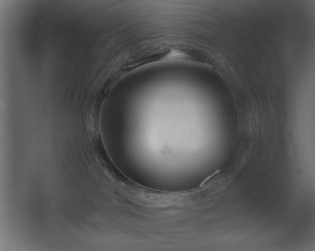 X0000067830044200604201227