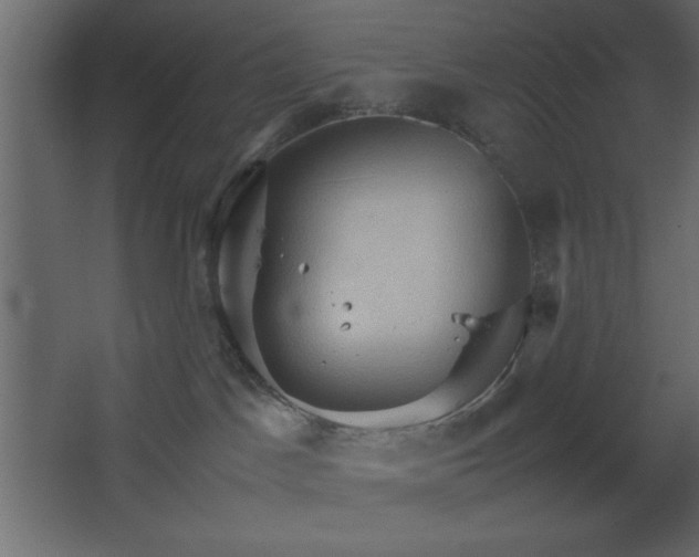 X0000067830045200604201227