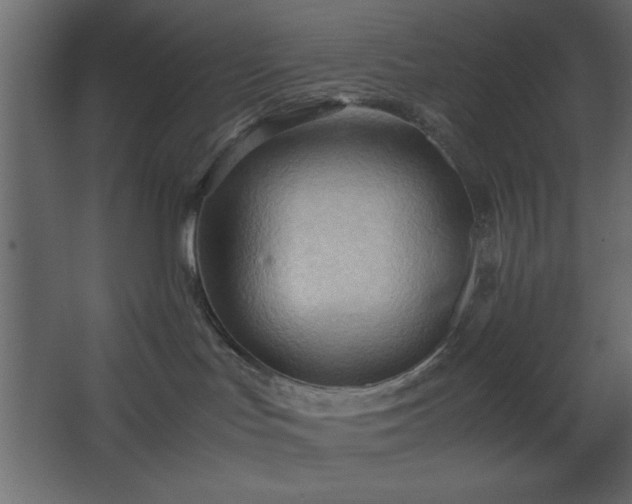 X0000067830047200604201227