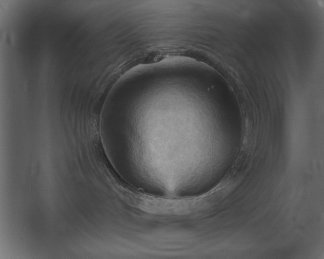 X0000067830048200604201227