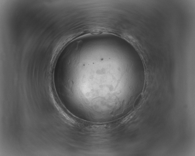 X0000067830049200604201226