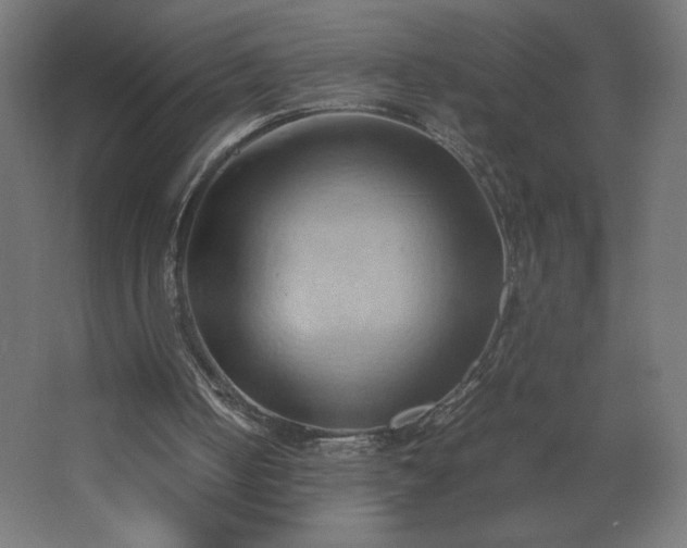 X0000067830050200604201226