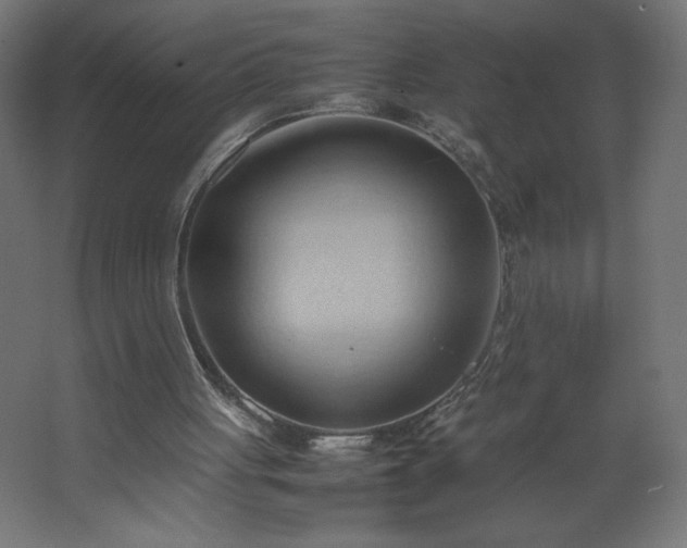 X0000067830051200604201226