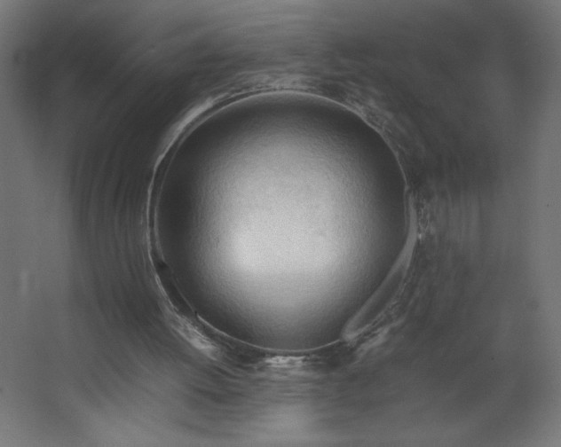 X0000067830052200604201226