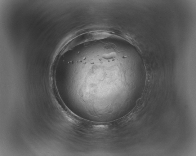 X0000067830053200604201226