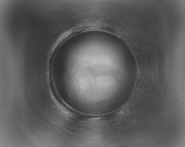 X0000067830054200604201226