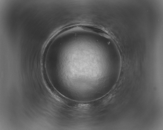 X0000067830055200604201226