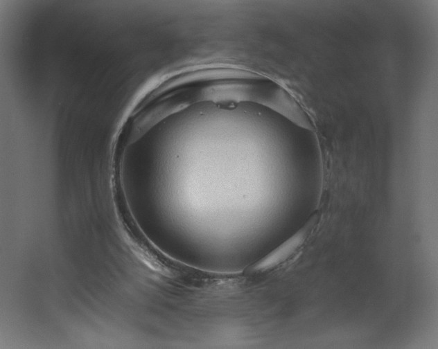 X0000067830056200604201226