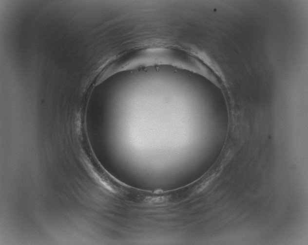 X0000067830057200604201226