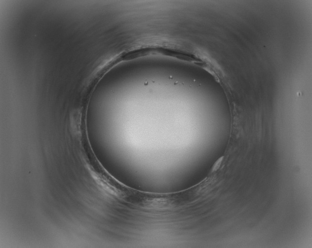 X0000067830058200604201226