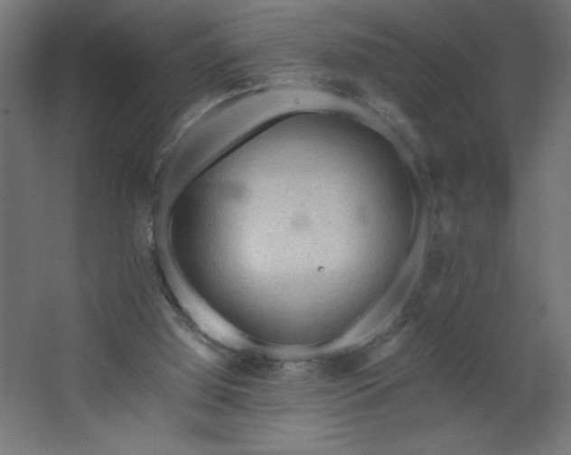 X0000067830060200604201226