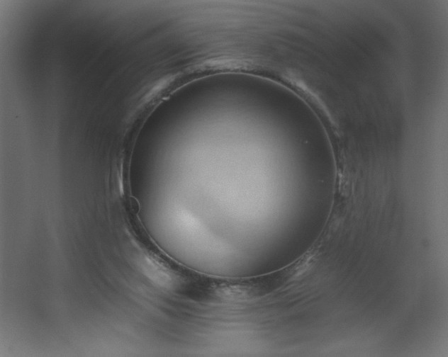 X0000067830062200604201226